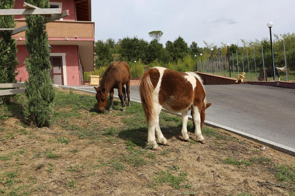 Agriturismo Ciociaro " Il Colle " Hotel Ristorante Чепрано Екстериор снимка